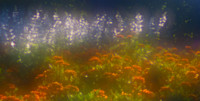 Impressionism 1