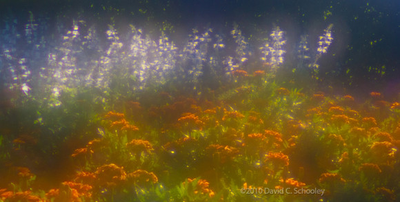 Impressionism 1