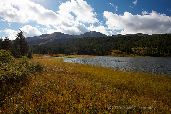 Lake Andrews