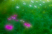 Impressionism 2
