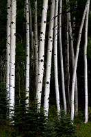 Colorado 2010