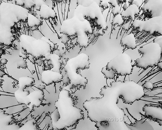 Snow on Snow