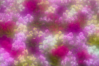 Impressionism 4