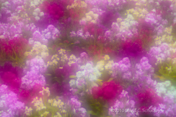Impressionism 4