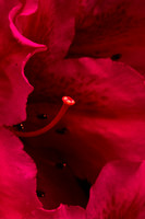 Abstract 3