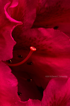 Abstract 3
